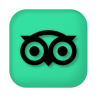 tripadvisor guru restaurant